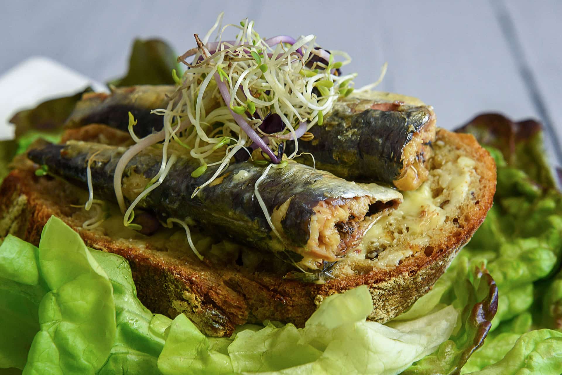 recette tartines sardines 5204 conserverie Kerbriant Sardines Bretonnes en conserve
