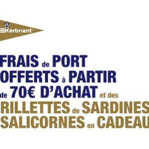 bannière offre salicorne noel 23