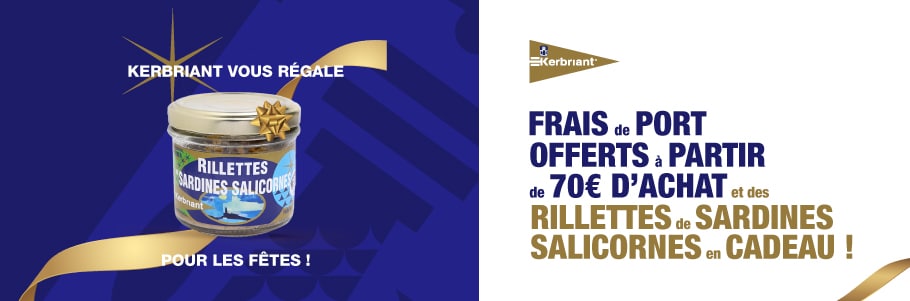 bannière offre salicorne noel 23