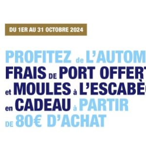 bannière octobre 2024 format post
